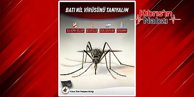 KTTB'DEN BATI NİL VİRÜSÜ AÇIKLAMASI