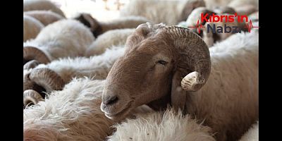 KURBAN BAYRAMI BUGÜN SONA ERİYOR