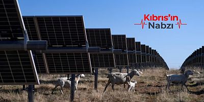 KUTRAFALILAR TÜRK ARAZİLERİNE GÜNEŞ PARKI YAPIMINA KARŞI ÇIKTI