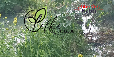 LEFKE ÇEVRE VE EKOLOJİ DERNEĞİ’NDEN GEMİKONAĞI DERESİ UYARISI