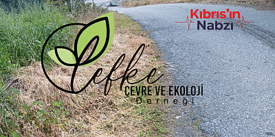 LEFKE ÇEVRE VE EKOLOJİ DERNEĞİ, OT KURUTMA İLAÇLARININ KULLANILMASINA TEPKİ GÖSTERDİ