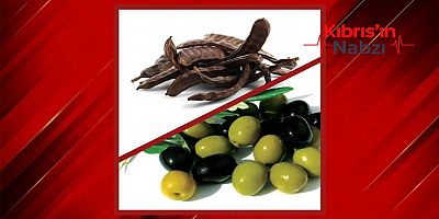 LEFKE'DE HASAT TARİHLERİ BELLİ OLDU
