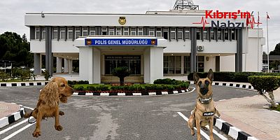 LOKUM VE PAMİR UYUŞTURUCUYA GEÇİT VERMEDİ!