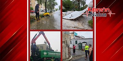 LTB EKİPLERİ SAHADA: 17 AĞAÇ VE 1 DİREK DEVRİLDİ