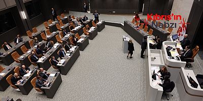 MECLİS GENEL KURULU'NDA ÜÇ YASA TASARISI KABUL EDİLDİ