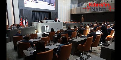 MECLİS'TE BASIN ÖZGÜRLÜĞÜ GERGİNLİĞİ