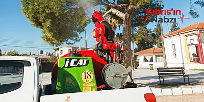 MESARYA’DA 2 BİN ÇAM AĞACI İLAÇLANDI