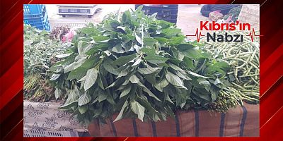 MOLEHİYADA YİNE LİMİT ÜSTÜ KALINTI