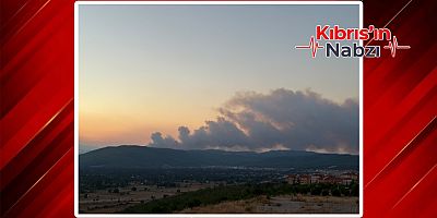 MUĞLA'DA ORMAN YANGINI