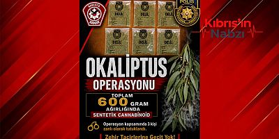 Okaliptus Operasyonu