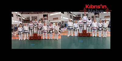 Taekwondo Karate Judo Aikido Federasyonu