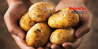 PATATES EKİMİ YAPILAN ARAZİLER İÇİN SON BEYAN TARİHİ 16 ŞUBAT