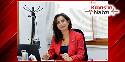 prof dr nedime serakıncı