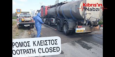 RUM ÇİFTÇİLER İTLAFI KABUL ETTİ, TAZMİNATLAR ARTIYOR