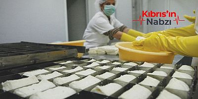 RUM HELLİM ÜRETİCİLERİ ENDİŞELİ