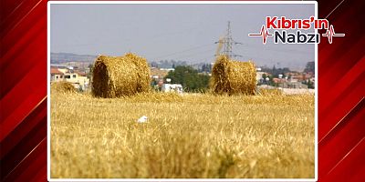 RUM MECLİSİ GÖÇMENLER KOMİTESİ’NDE USULSÜZLÜK