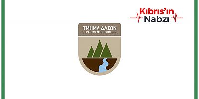 RUM ORMAN DAİRESİ’NDE BÜYÜK YOLSUZLUK SKANDALI