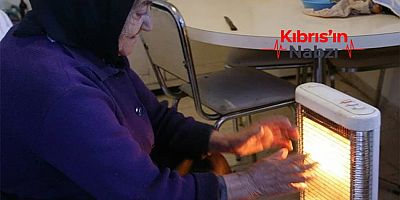 RUMLARIN YÜZDE 14'Ü EVLERİNİ ISITAMIYOR