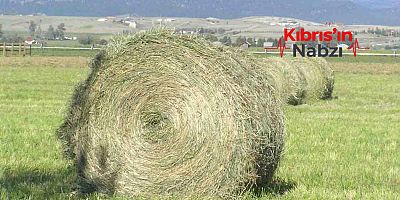 ŞAP VİRÜSÜNÜN KKTC’DEN GELEN KAÇAK SAMANLA YAYILDIĞI İDDİASI