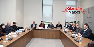 SAYIŞTAY KOMİTESİ, AKSA ENERJİ RAPORUNU ONAYLADI