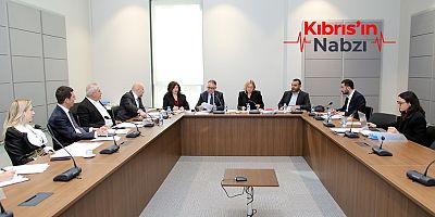SİYASİ İŞLER, DIŞİLİŞKİLER VE SAVUNMA KOMİTESİ TOPLANDI