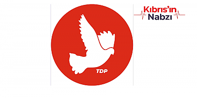 TDP'DEN EKTAM KIBRIS ÇALIŞANLARININ EYLEMİNE DESTEK