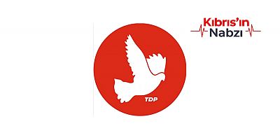 TDP'NİN YENİ VİZYON BELGESİ TANITILDI