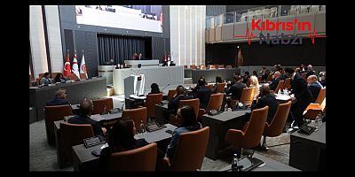 TEMEL SAĞLIK HİZMETLERİ DAİRESİ YASA TASARISI KABUL EDİLDİ