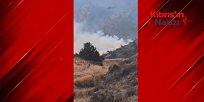 TİRMEN’DEKİ YANGIN KONTROL ALTINA ALINDI