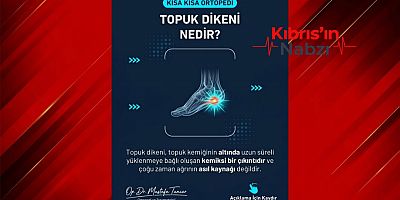 TOPUK DİKENİ HAKKINDA DOĞRU BİLİNEN YANLIŞLAR!