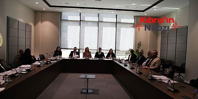 TRAFİK VE PASAPORT DÜZENLEMELERİNE ONAY