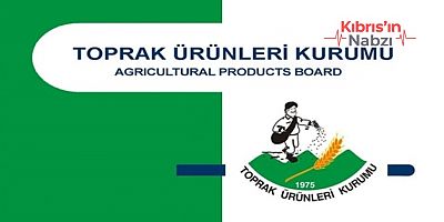 TÜK: YEMLİK ARPANIN ÇARŞAMBA GÜNÜ GELMESİ BEKLENİYOR