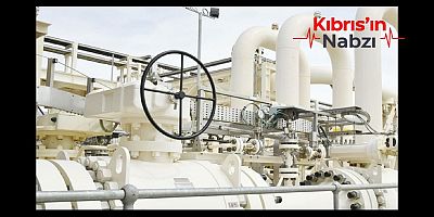 TÜRKİYE, TEDARİK ÇEŞİTLİLİĞİYLE ENERJİ ARZ GÜVENLİĞİNİ KORUDU