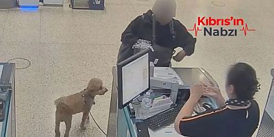 UÇAĞA BİNEBİLMEK İÇİN, KÖPEĞİNİ HAVAALANINDA TERK ETTİ