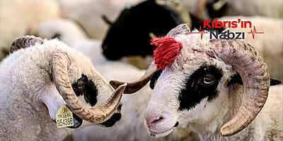 VEKÂLET YOLUYLA KURBAN KESİM BEDELLERİ AÇIKLANDI