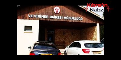 VETERİNER DAİRESİ: GAZİMAĞUSA BELEDİYE MEZBAHASI'NDA UYGUNSUZLUKLAR TESPİT EDİLDİ