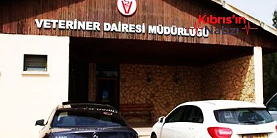 VETERİNER DAİRESİ’NDEN BAYRAM ÖNCESİ SIKI DENETİM