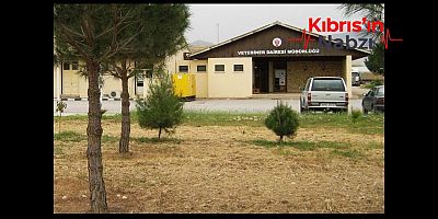 VETERİNER DAİRESİ’NDEN KURBAN KESİMLERİYLE İLGİLİ AÇIKLAMA