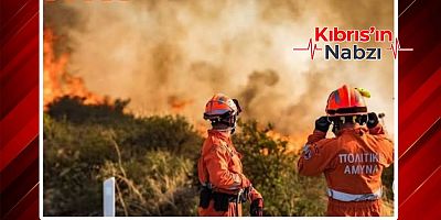 VUDA’DAKİ YANGIN SONRASI PATLAMAMIŞ HAVAN MERMİSİ BULUNDU
