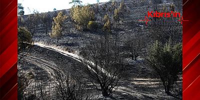 VUDA’DAKİ YANGINA İLİŞKİN SORUŞTURMA RAPORU TAMAMLANDI