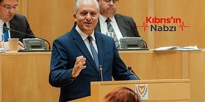 YABANCI SUÇLULARIN SINIR DIŞI ÖNERİSİ TEPKİ ÇEKTİ