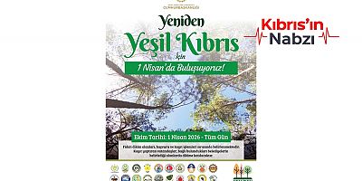 YARIN ÜLKE GENELİNDE EŞ ZAMANLI FİDAN DİKİLECEK