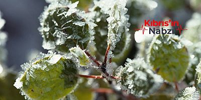 YARIN VE CUMA DON BEKLENİYOR