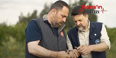 YENİ ARPA ÇEŞİTLERİNİN HASADI GERÇEKLEŞTİRİLDİ