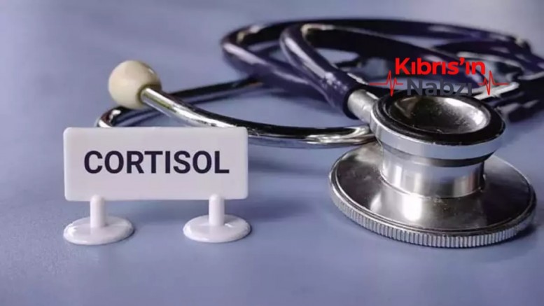 YAŞAMI SESSİZCE YÖNETEN GÜÇ: KORTİZOL
